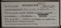 Image Associated With the Occurence